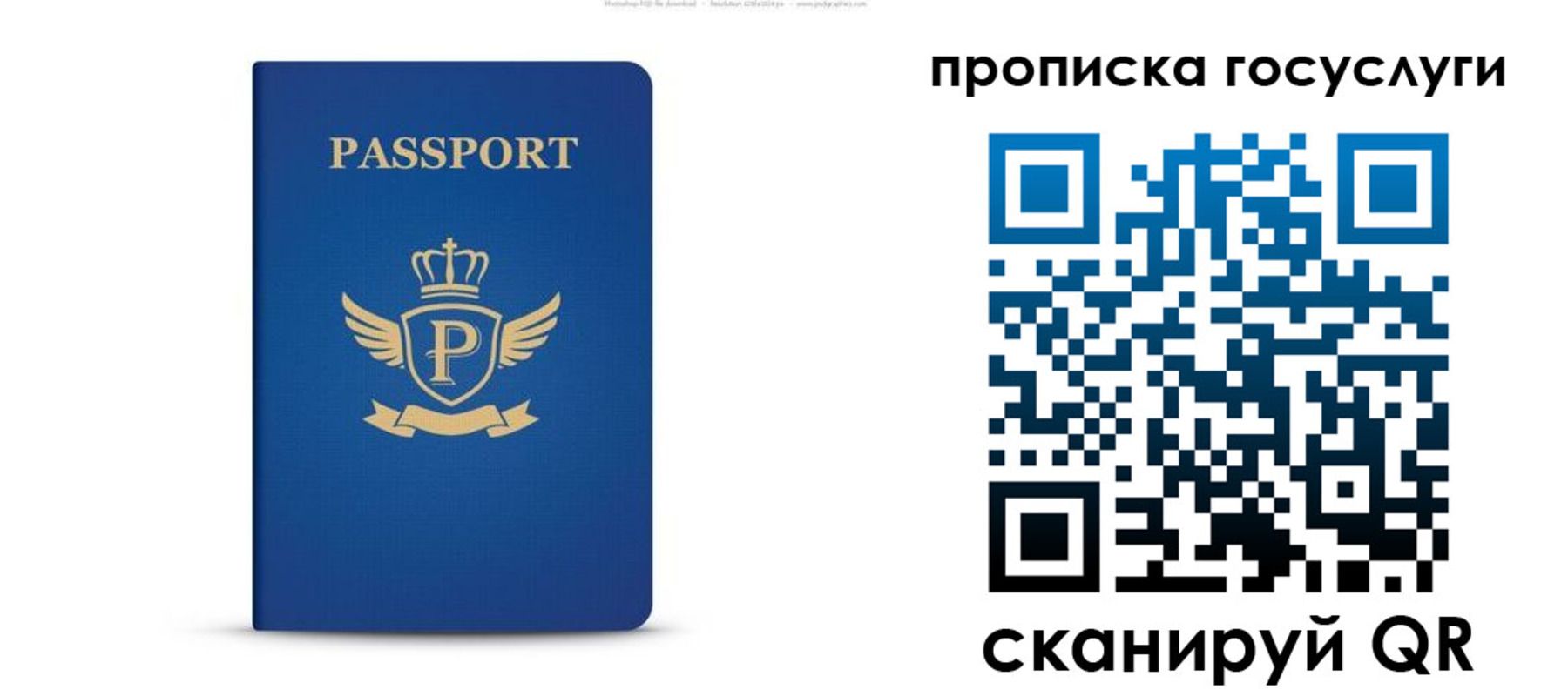 прописка для школы в Моршанске